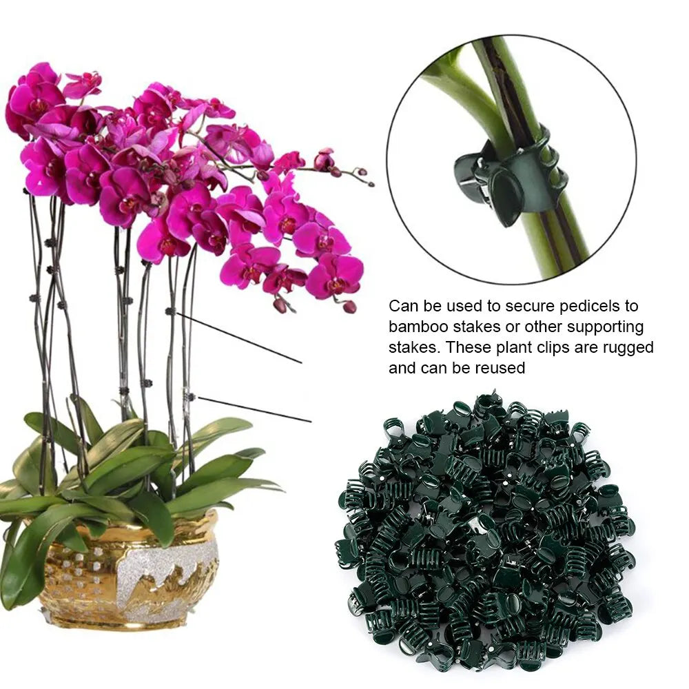MiniPlastiqueAttachesPourPlantes™