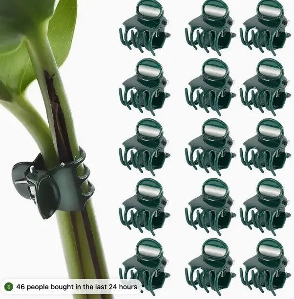 48592285696338