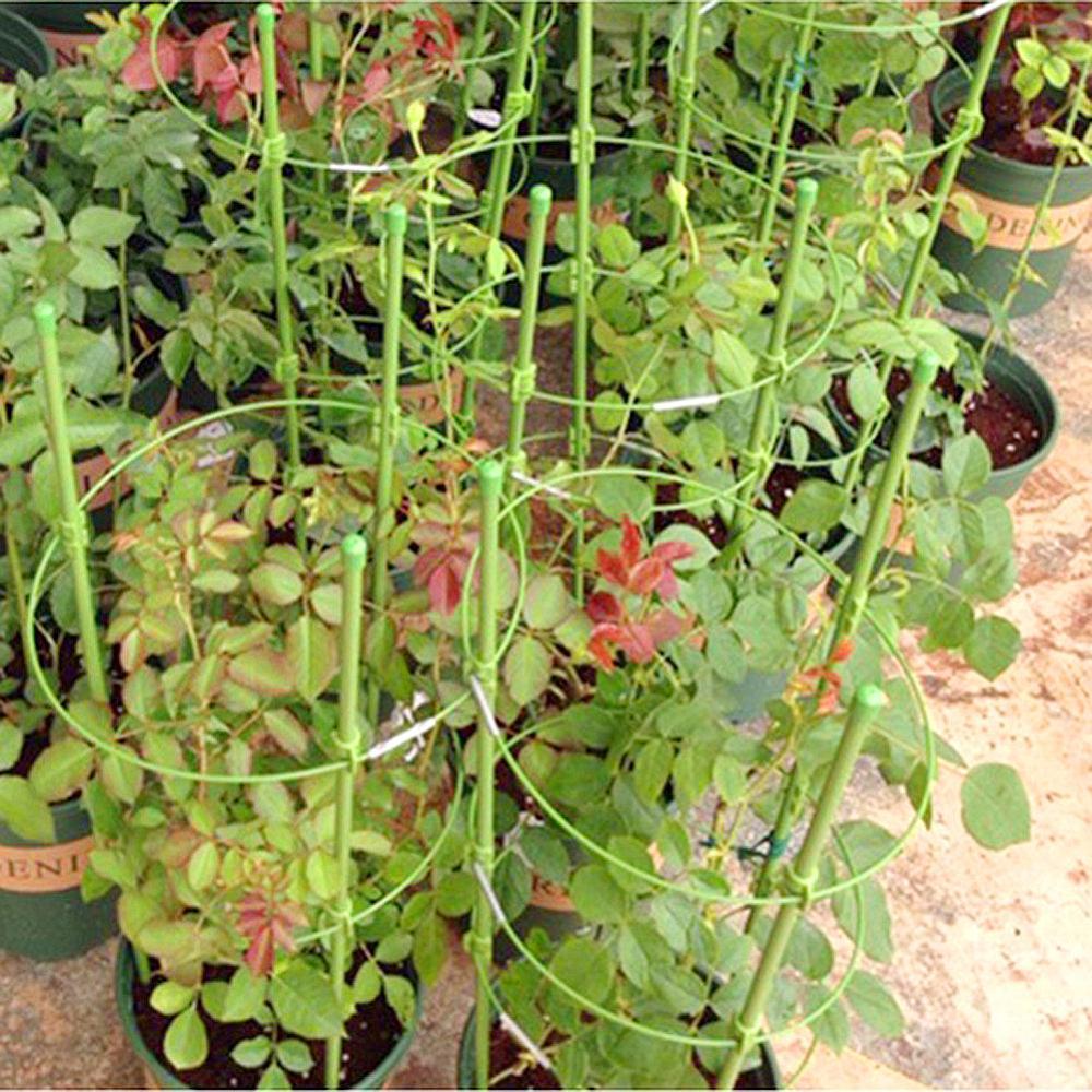 PlantSupport™ - Cadre de support pour plante | Jardinage - Les beautés du jardin