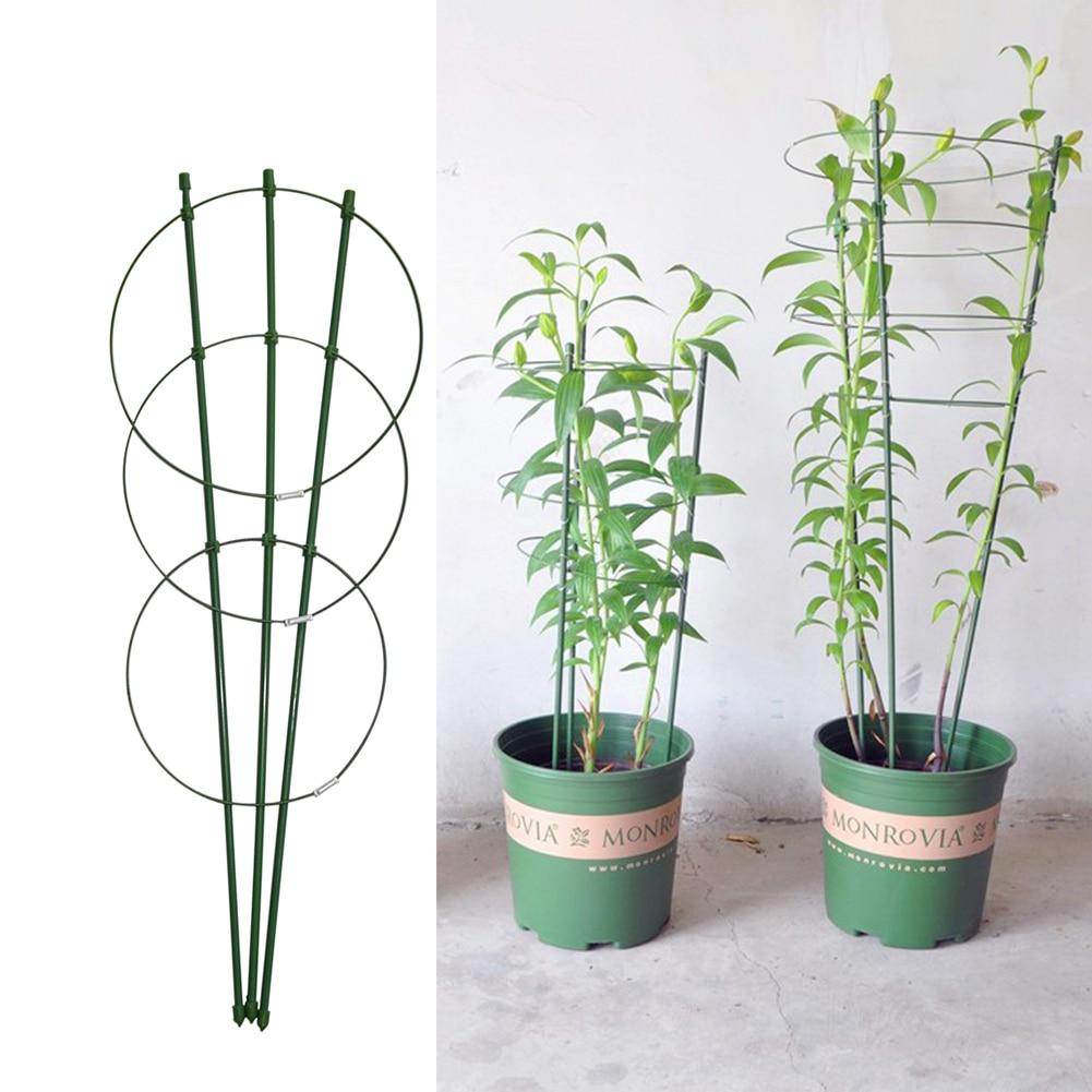 PlantSupport™ - Cadre de support pour plante | Jardinage - Les beautés du jardin