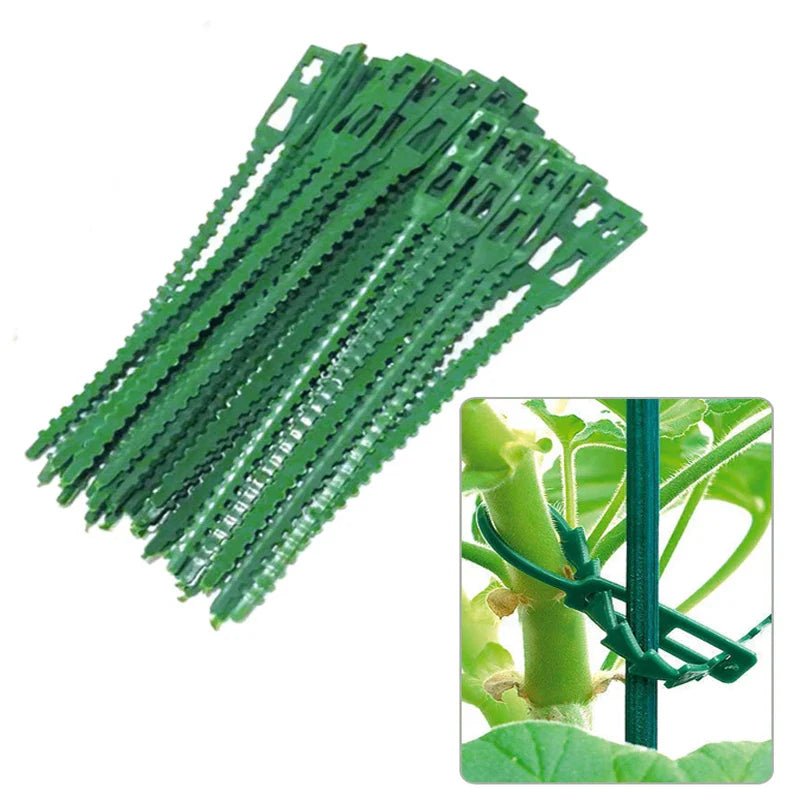 EasyAttach™ - Attaches réutilisable pour plantes - Les beautés du jardin
