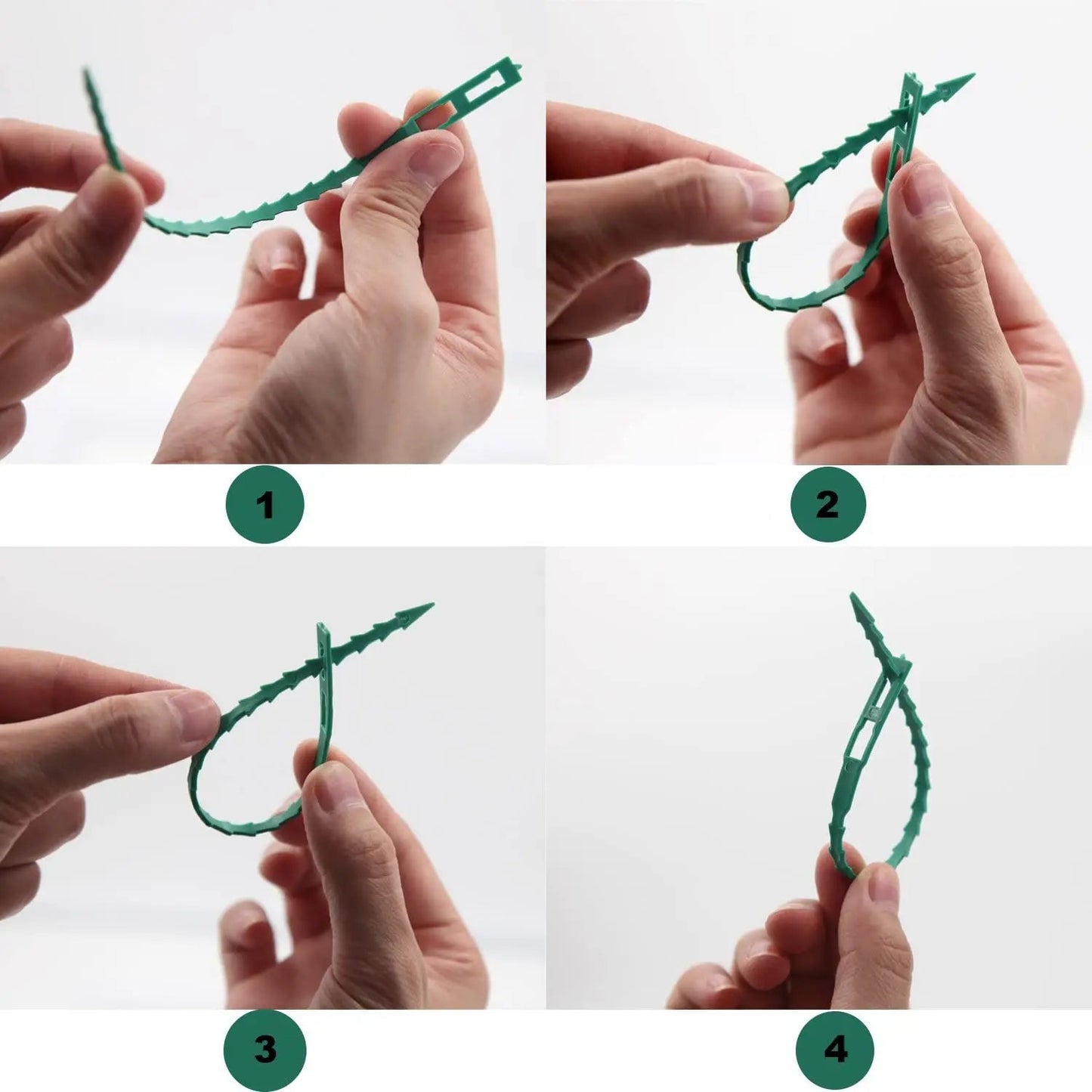 EasyAttach™ - Attaches réutilisable pour plantes - Les beautés du jardin