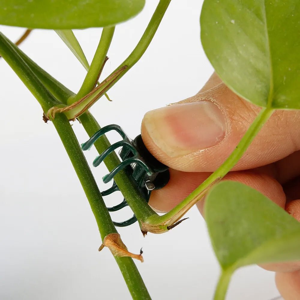 MiniPlastiqueAttachesPourPlantes™ - Les beautés du jardin
